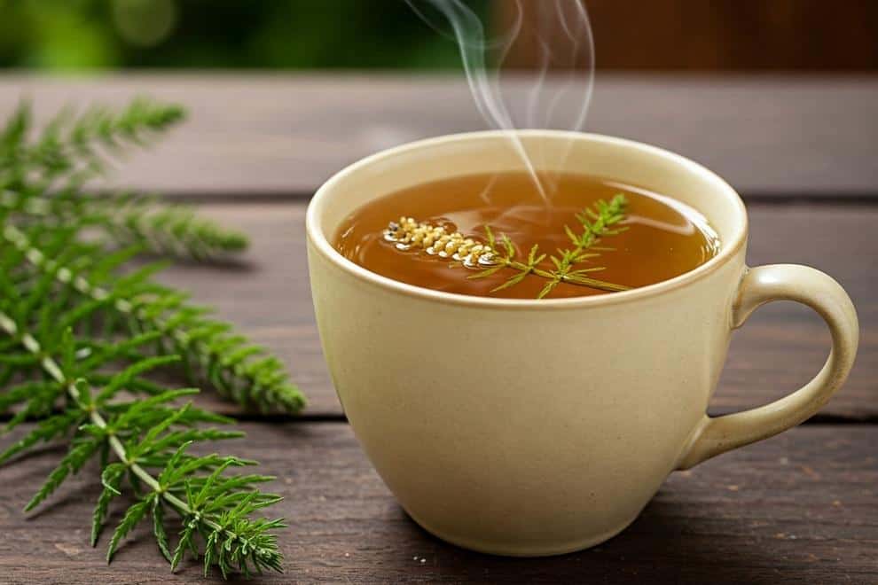Horsetail Benefits
